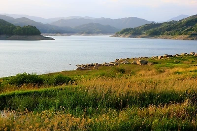 스포츠중계,무료스포츠중계,해외스포츠중계