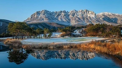 스포츠중계,무료스포츠중계,해외스포츠중계