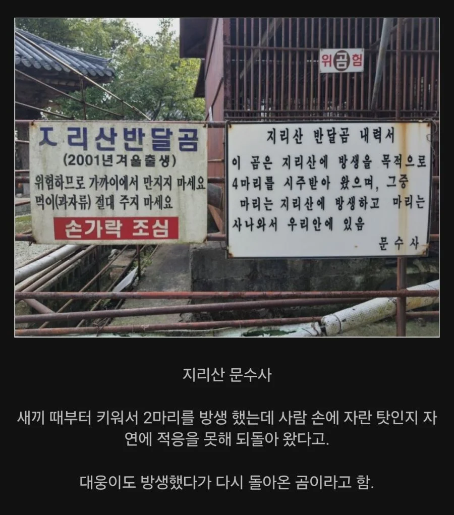1757298506824789.webp