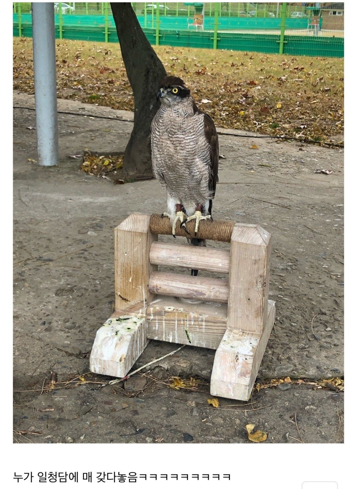 1757761888500943.jpg