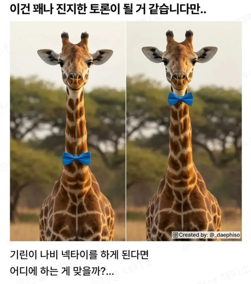 1757917781290861.jpg