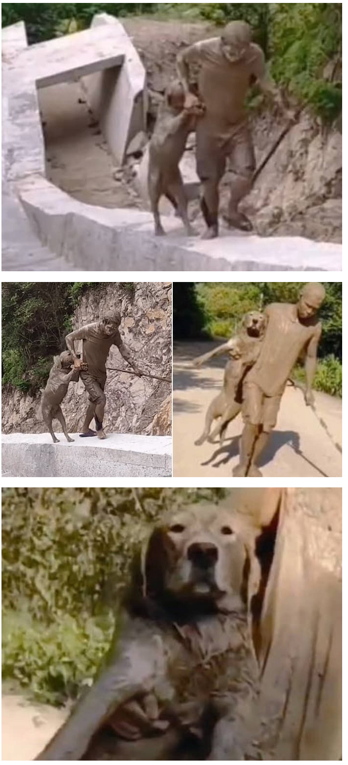 1758105700024137.png