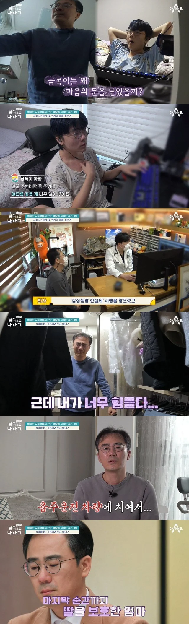 스포츠중계,무료스포츠중계,해외스포츠중계