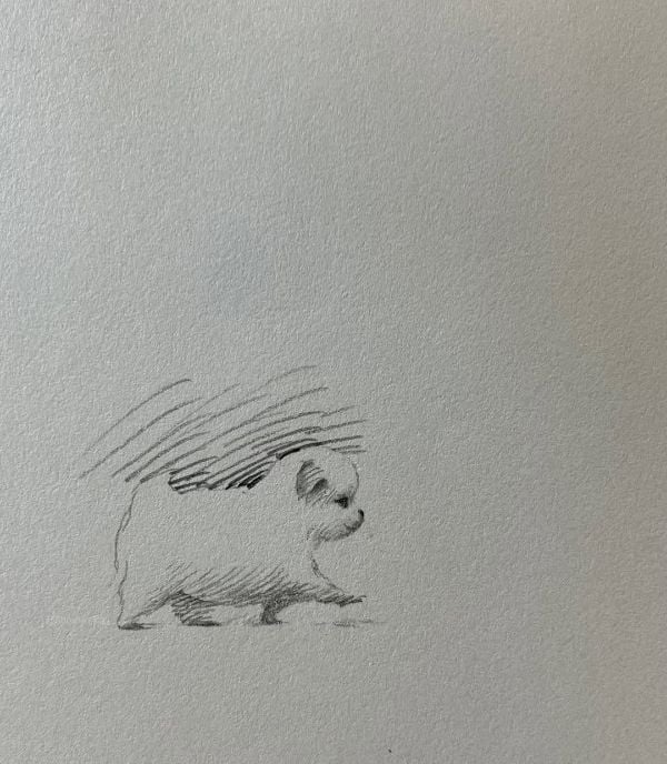 1758275415137361.jpg