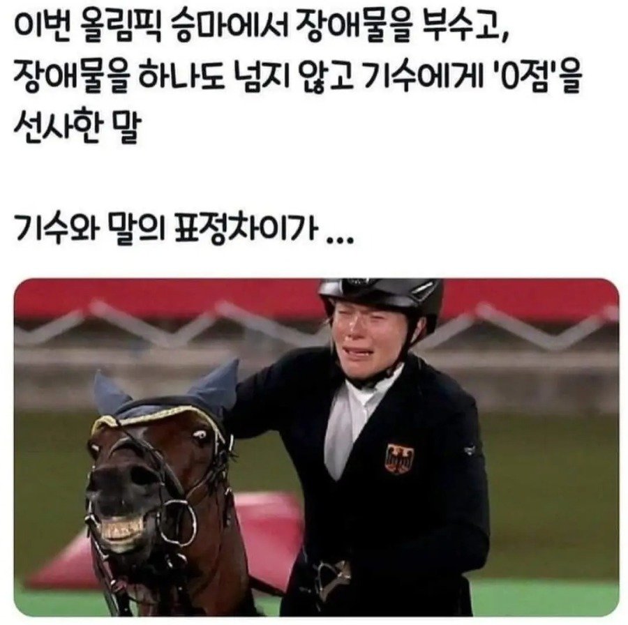 1758805830743197.jpg
