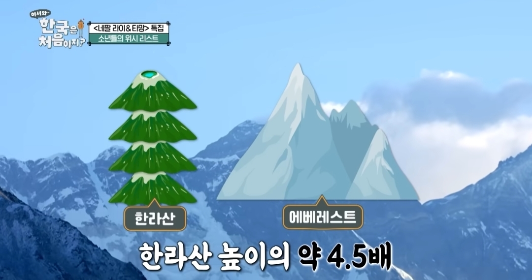 스포츠중계,무료스포츠중계,해외스포츠중계