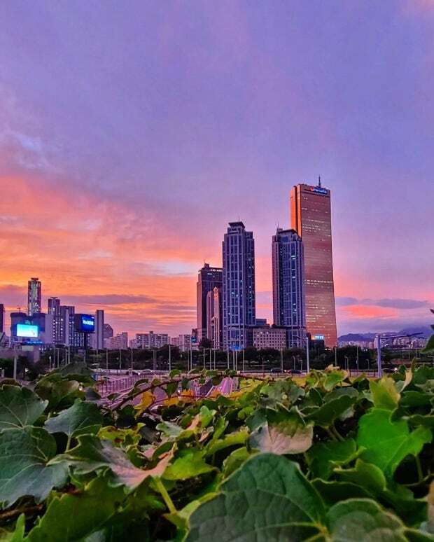 스포츠중계,무료스포츠중계,해외스포츠중계