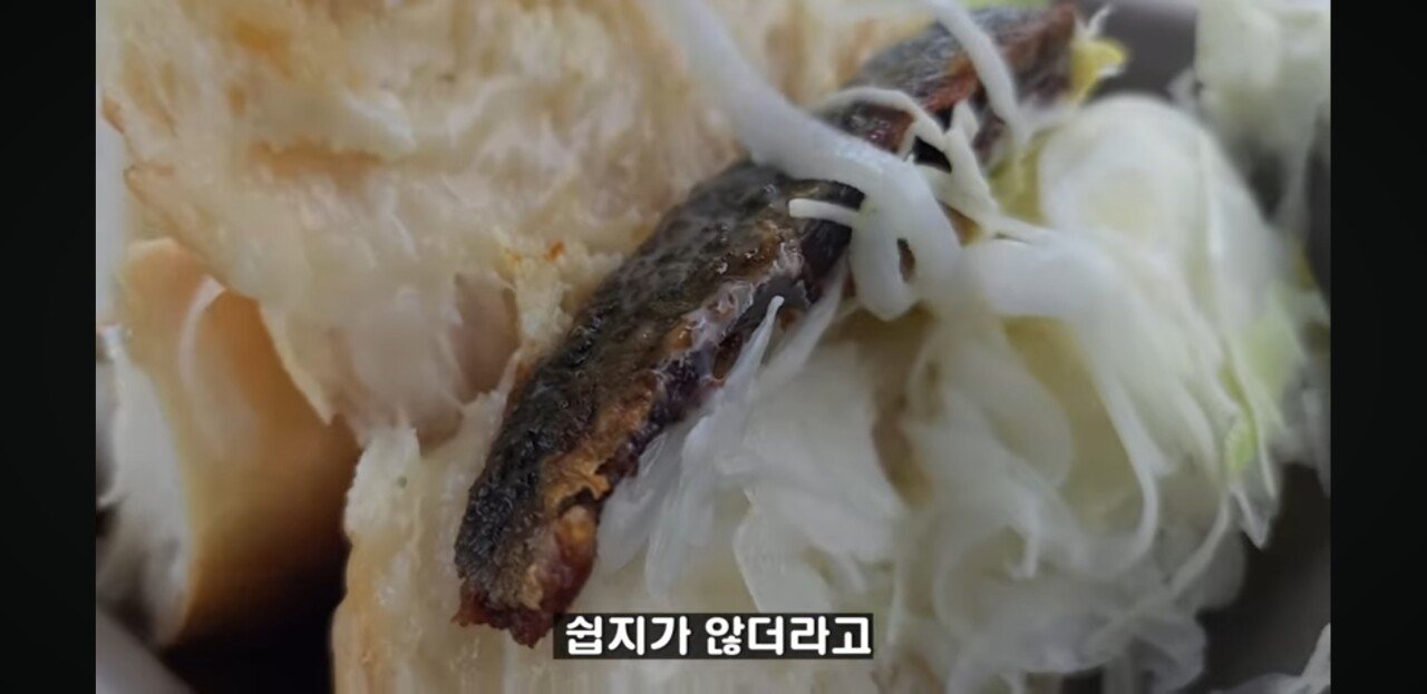 스포츠중계,무료스포츠중계,해외스포츠중계