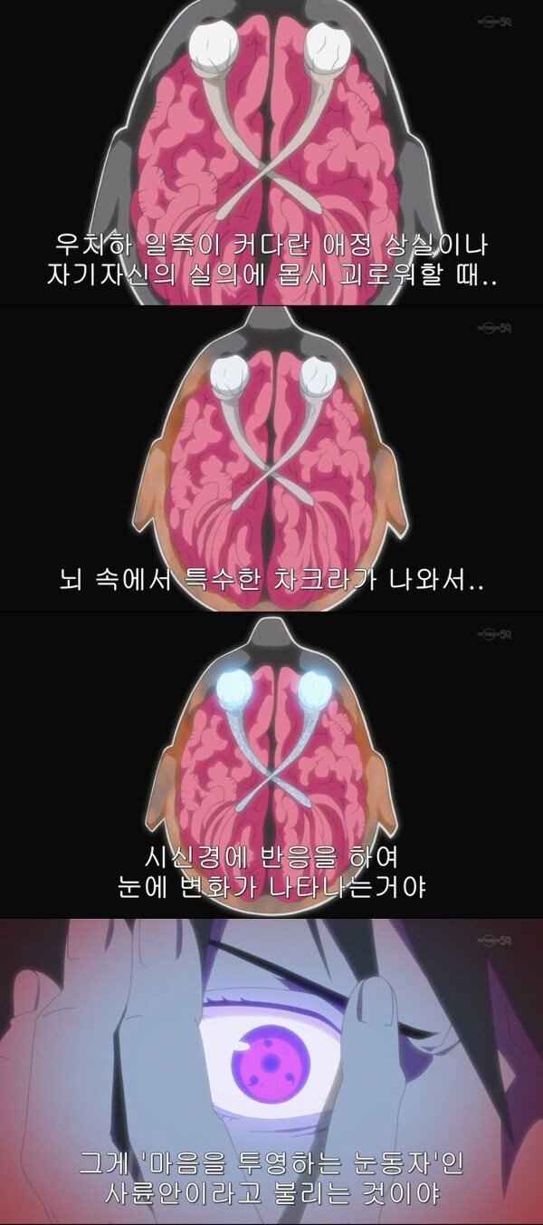 1760169858225854.jpg