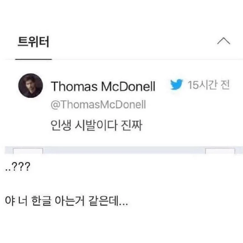 1761291864209054.webp