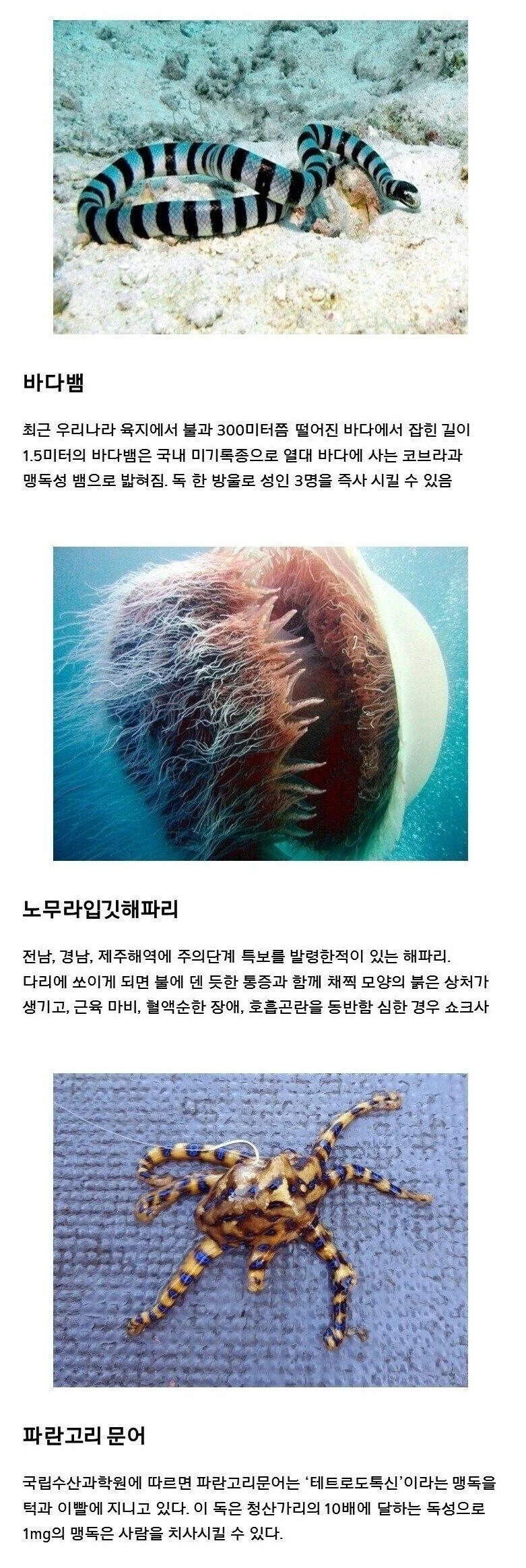 1761377084785759.webp