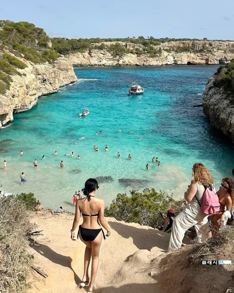 스포츠중계,무료스포츠중계,해외스포츠중계