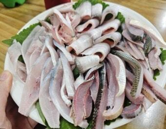 스포츠중계,무료스포츠중계,해외스포츠중계