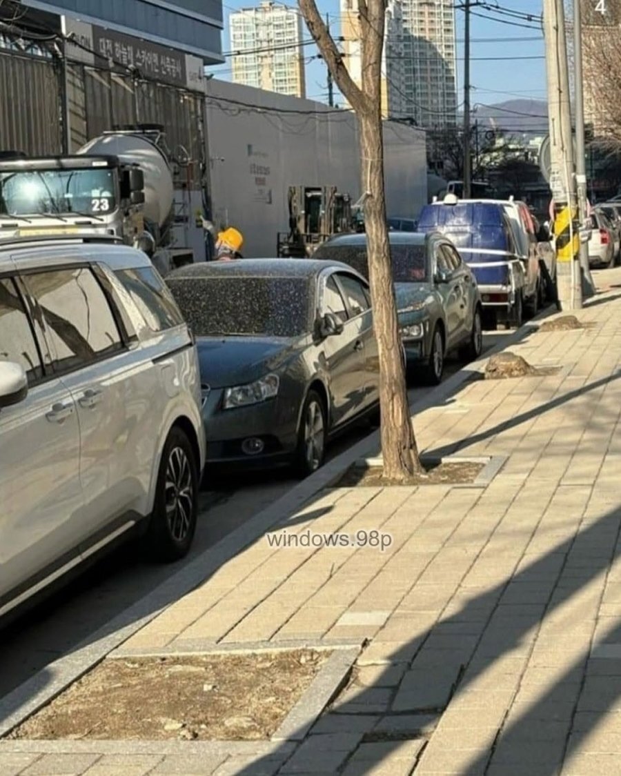 스포츠중계,무료스포츠중계,해외스포츠중계