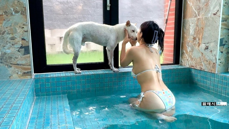 스포츠중계,무료스포츠중계,해외스포츠중계