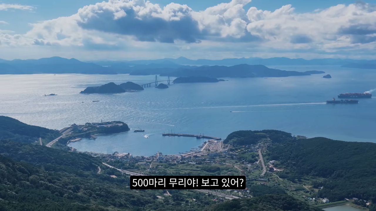 스포츠중계,무료스포츠중계,해외스포츠중계