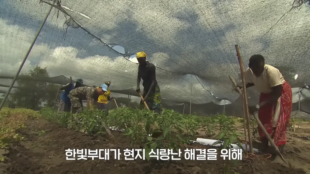 스포츠중계,무료스포츠중계,해외스포츠중계