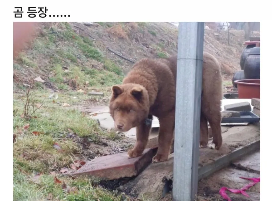 스포츠중계,무료스포츠중계,해외스포츠중계