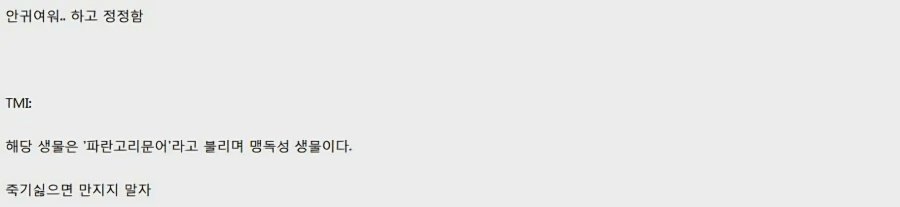 스포츠중계,무료스포츠중계,해외스포츠중계