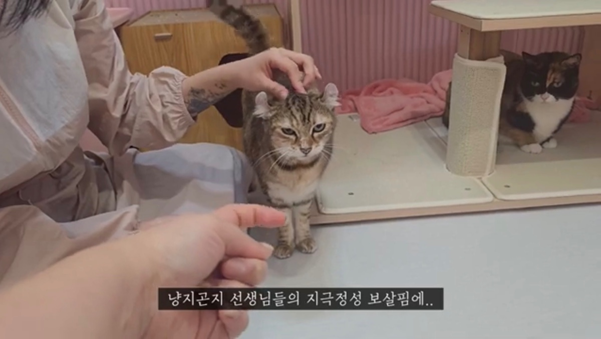 스포츠중계,무료스포츠중계,해외스포츠중계