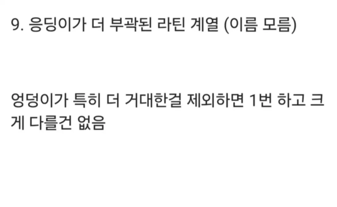 스포츠중계,무료스포츠중계,해외스포츠중계