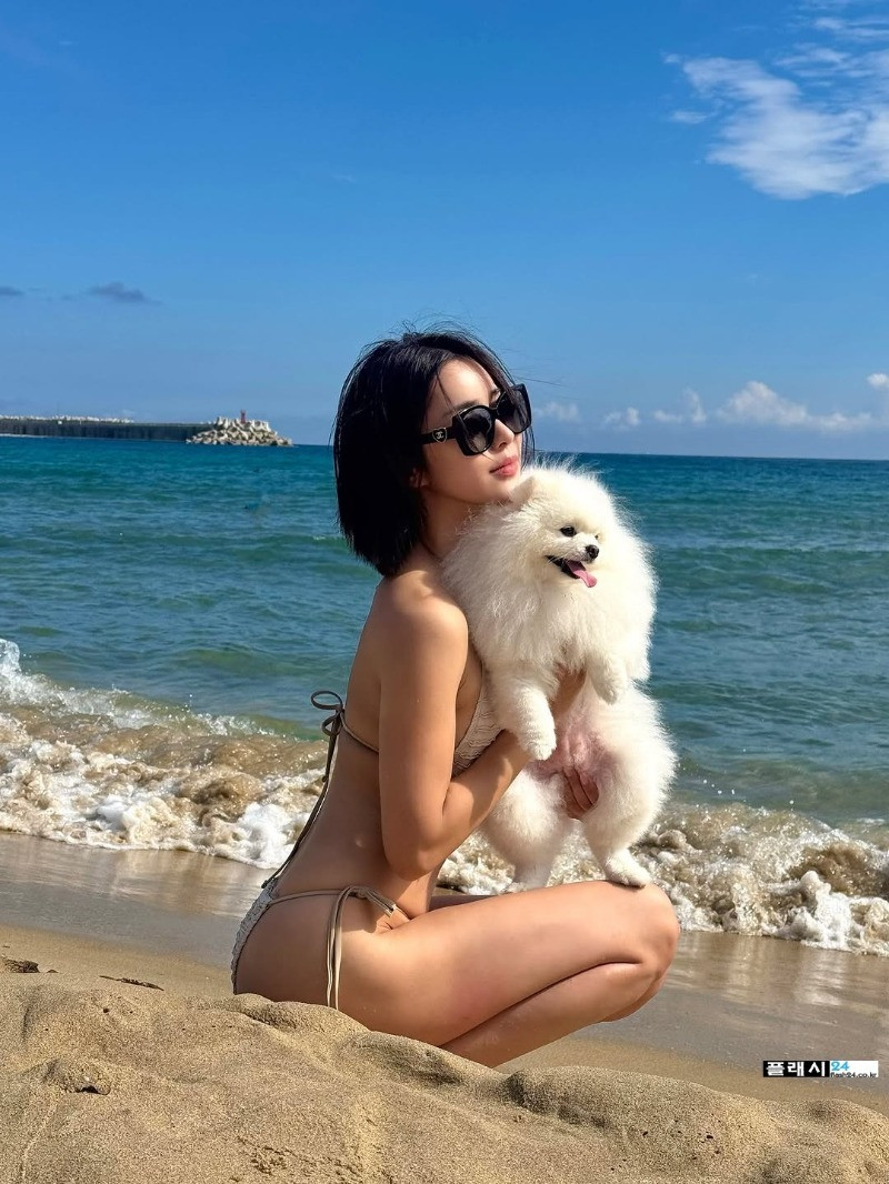 스포츠중계,무료스포츠중계,해외스포츠중계