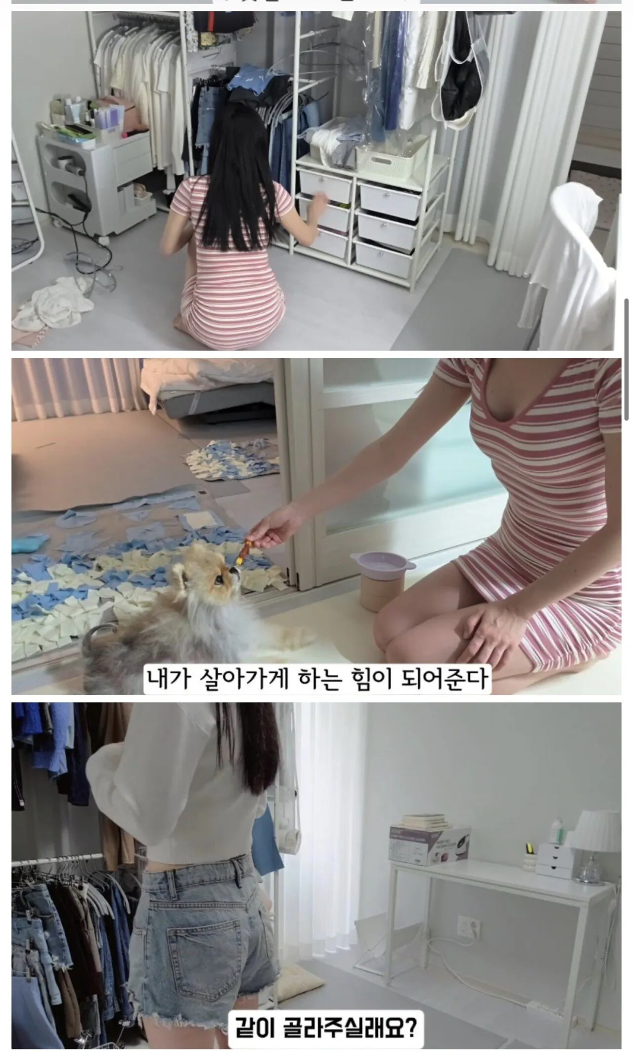 스포츠중계,무료스포츠중계,해외스포츠중계