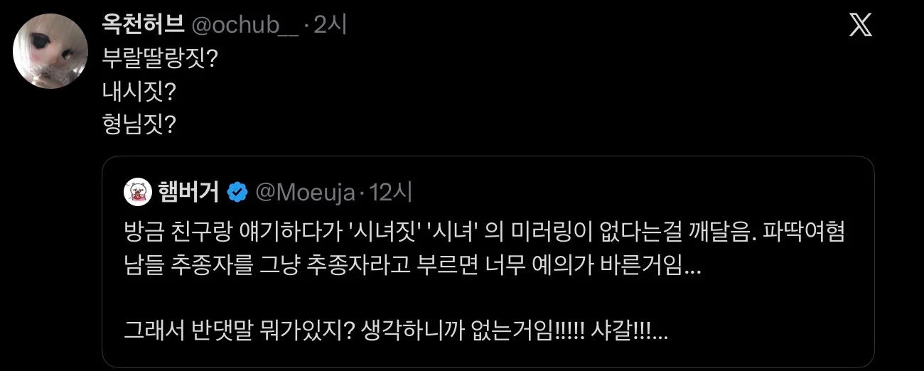 미러링 실패해서 빡친 트위터유저