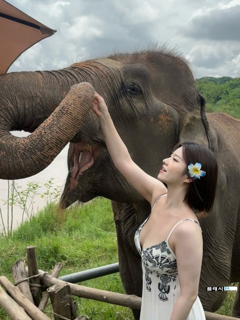 스포츠중계,무료스포츠중계,해외스포츠중계
