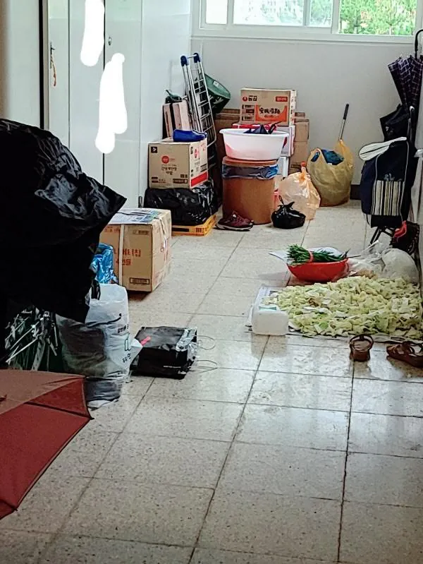 스포츠중계,무료스포츠중계,해외스포츠중계