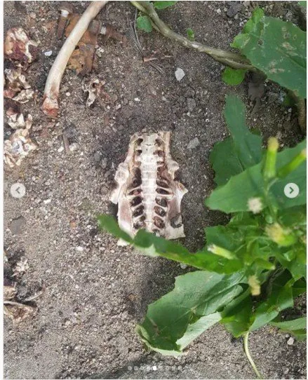 스포츠중계,무료스포츠중계,해외스포츠중계