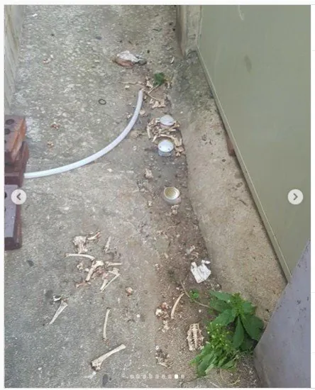 스포츠중계,무료스포츠중계,해외스포츠중계