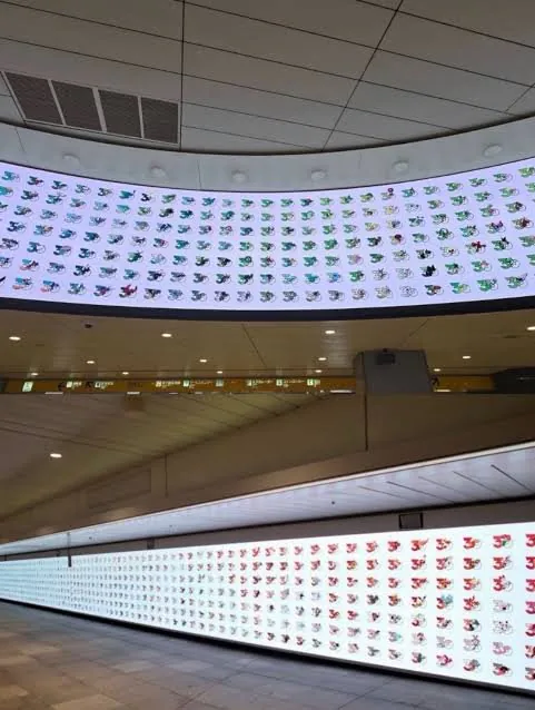 스포츠중계,무료스포츠중계,해외스포츠중계