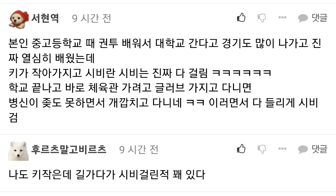 키 작아서 정말 슬픈 이유