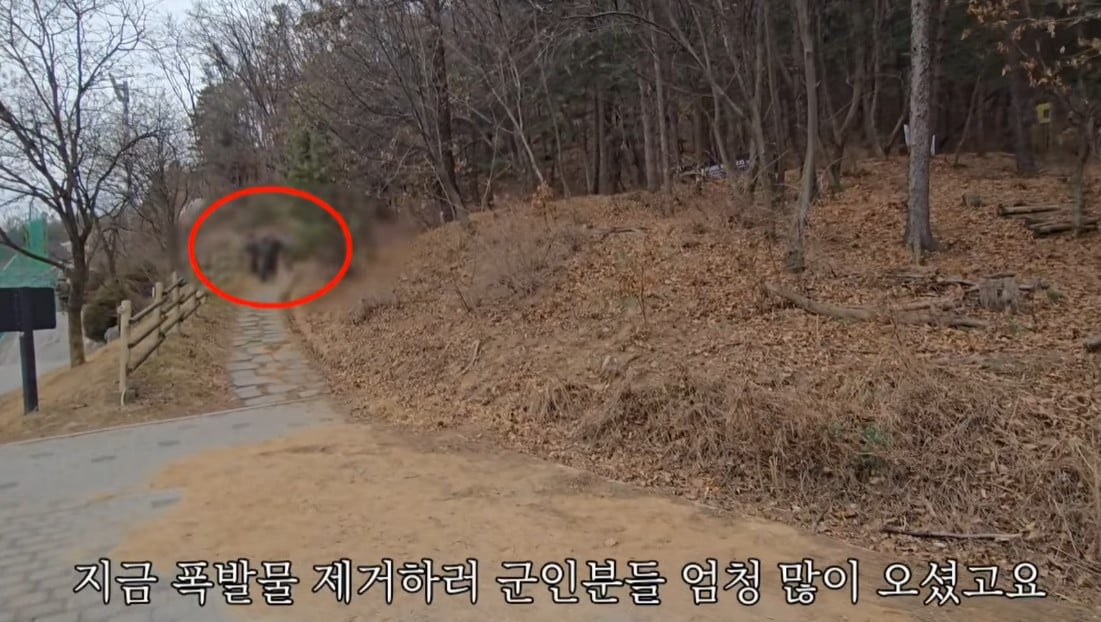 스포츠중계,무료스포츠중계,해외스포츠중계