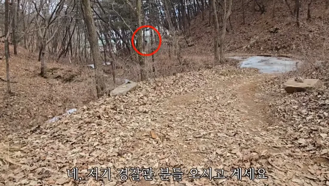 스포츠중계,무료스포츠중계,해외스포츠중계