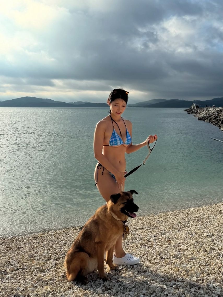 스포츠중계,무료스포츠중계,해외스포츠중계