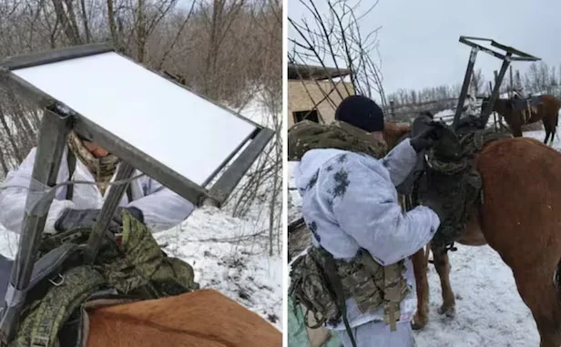 스포츠중계,무료스포츠중계,해외스포츠중계