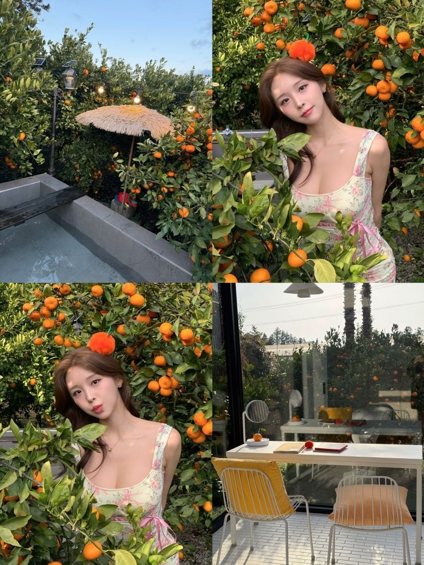 스포츠중계,무료스포츠중계,해외스포츠중계