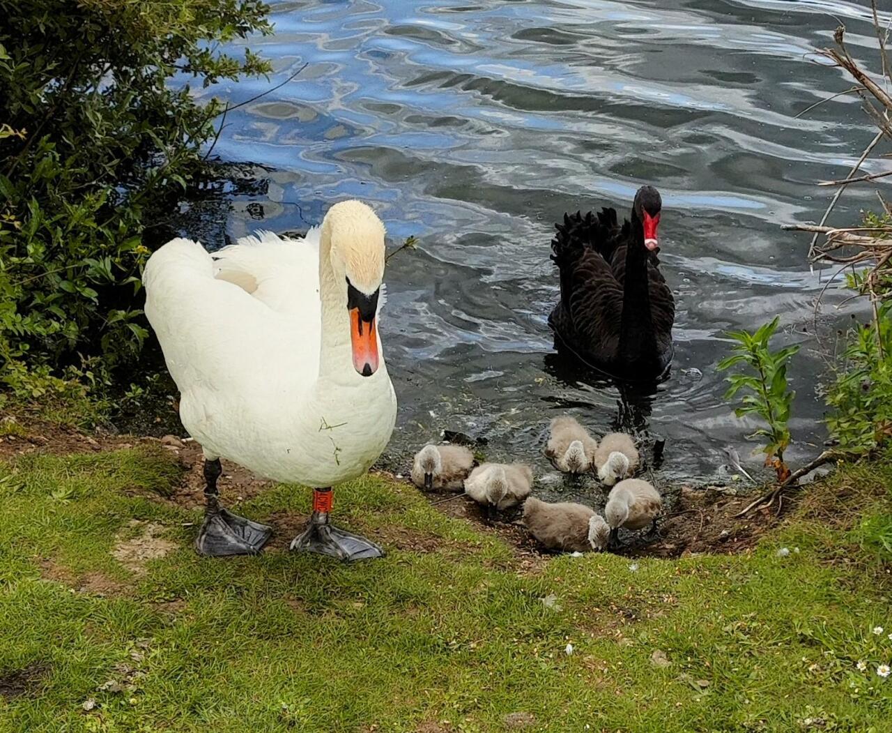 스포츠중계,무료스포츠중계,해외스포츠중계