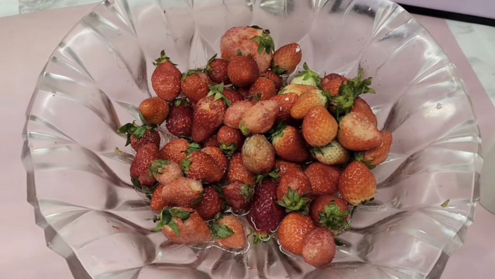 스포츠중계,무료스포츠중계,해외스포츠중계