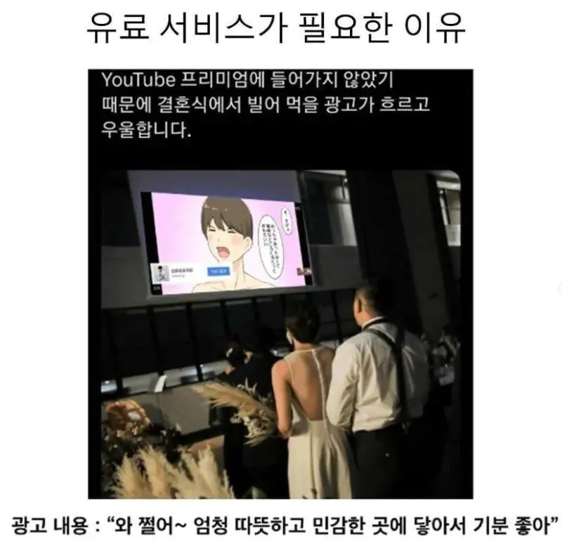 유튜브 프리미엄 구독 안해서 대참사