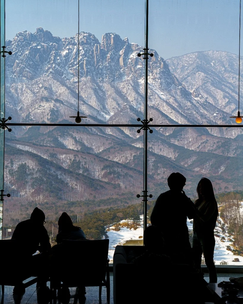 스포츠중계,무료스포츠중계,해외스포츠중계