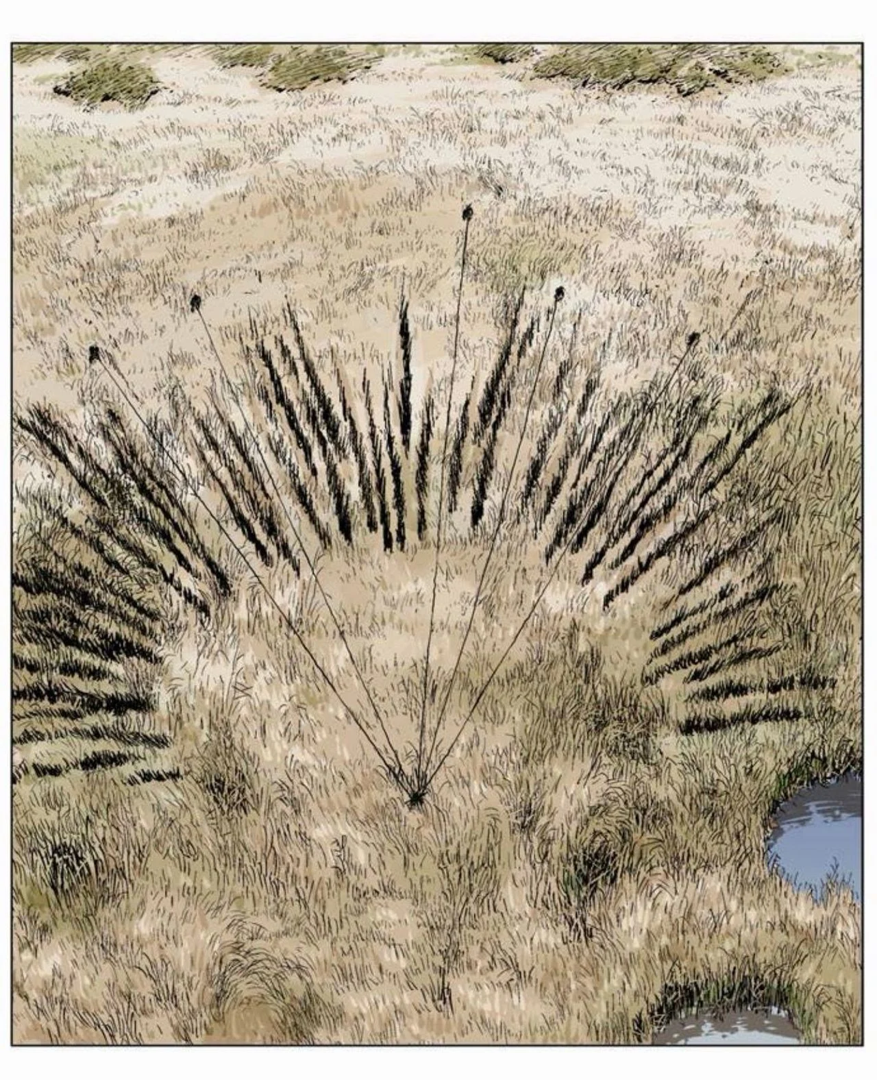 스포츠중계,무료스포츠중계,해외스포츠중계