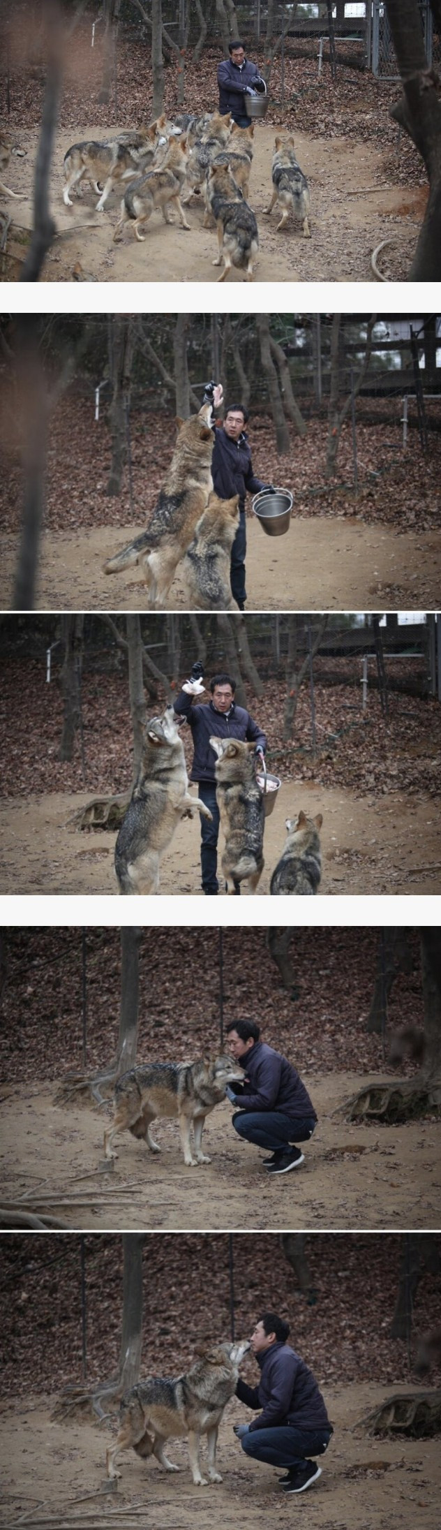 스포츠중계,무료스포츠중계,해외스포츠중계