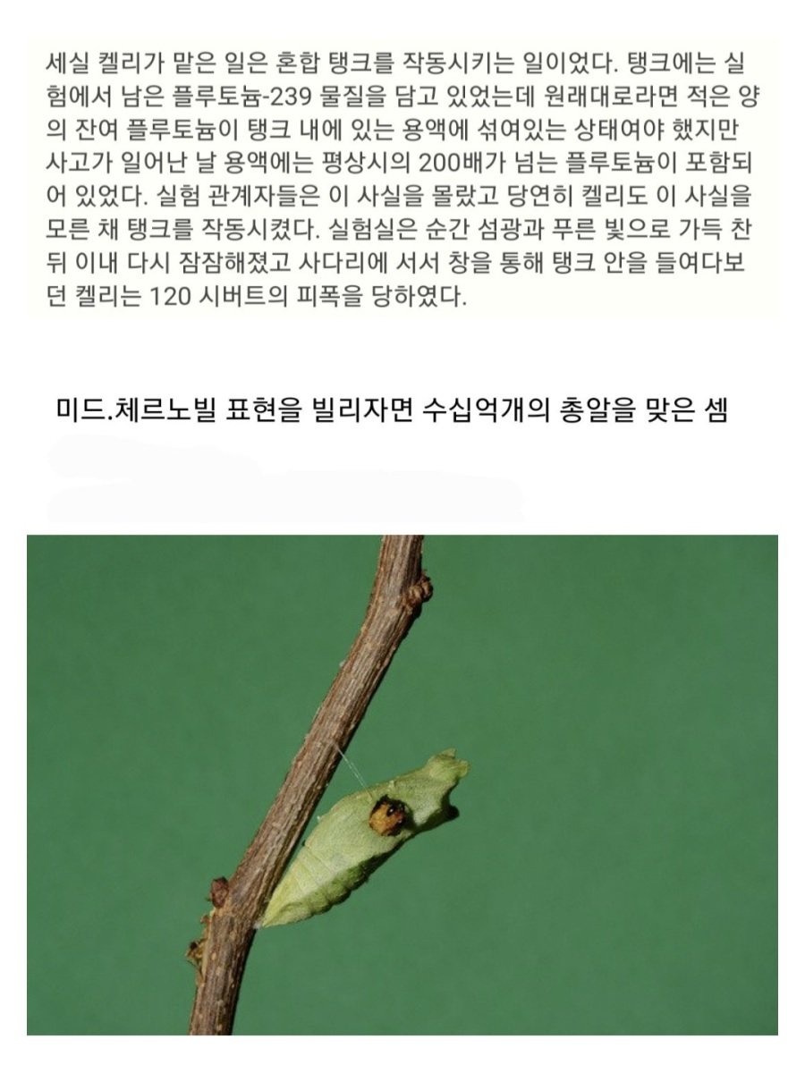 인류 역사상 제일 많이 방사선에 피폭된 사람