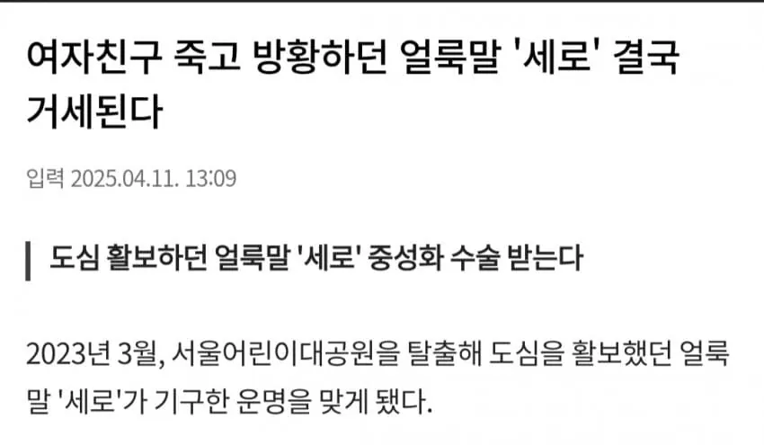 ??? : 늑구야... 절대 잡히지 마라...