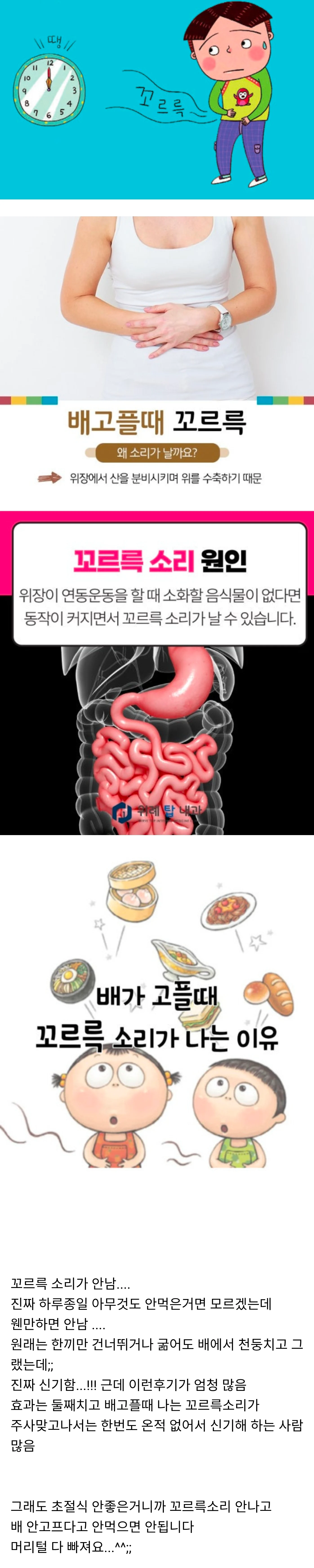 마운자로 위고비 맞는 사람들의 진짜 신기한 공통된 후기