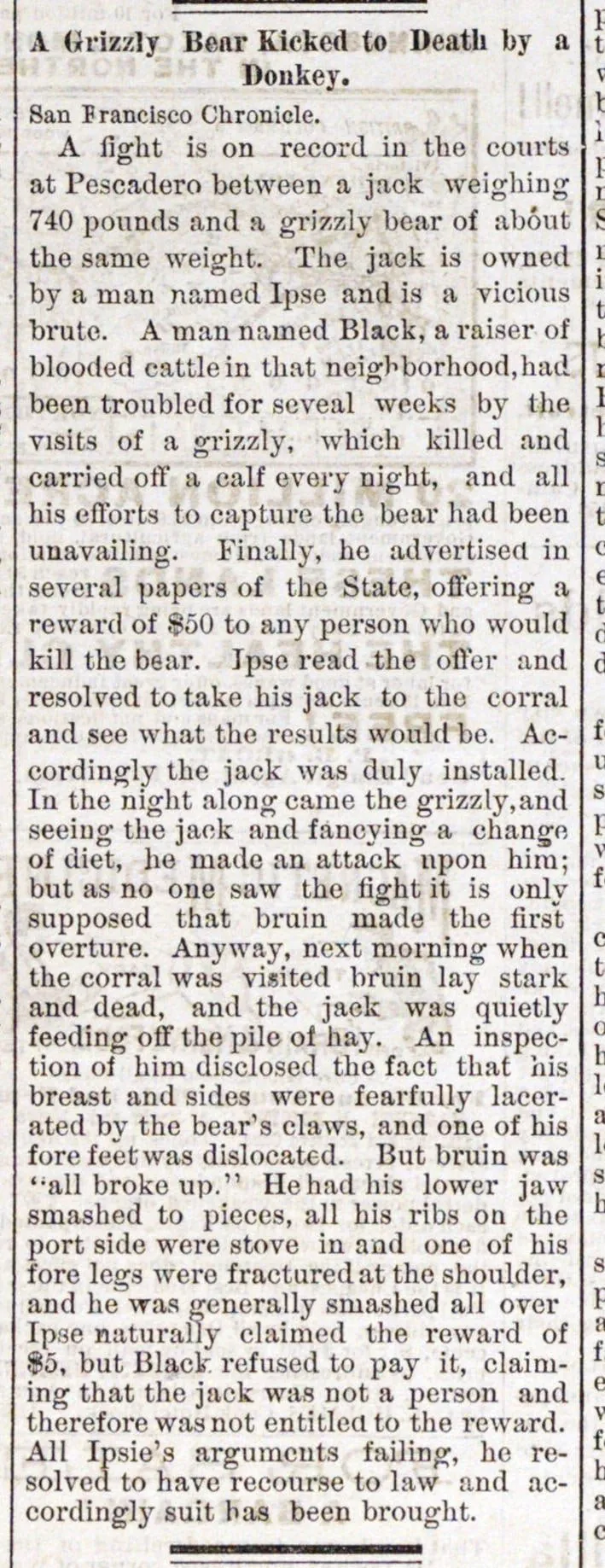 경비용으로 당나귀 키워야하는 이유 