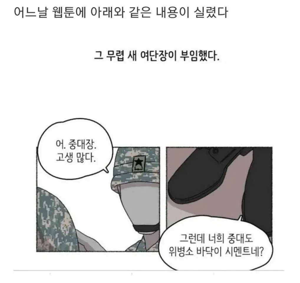 군대 웹툰에 댓글단 언냐들 